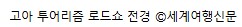 에디터 사진